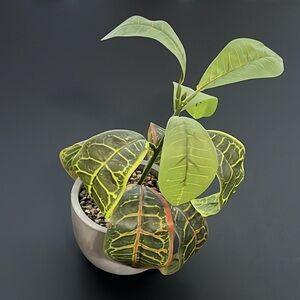 Decorative Faux Houseplant EUC
